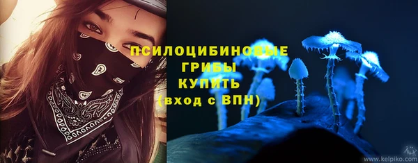 прущая мука Ладушкин